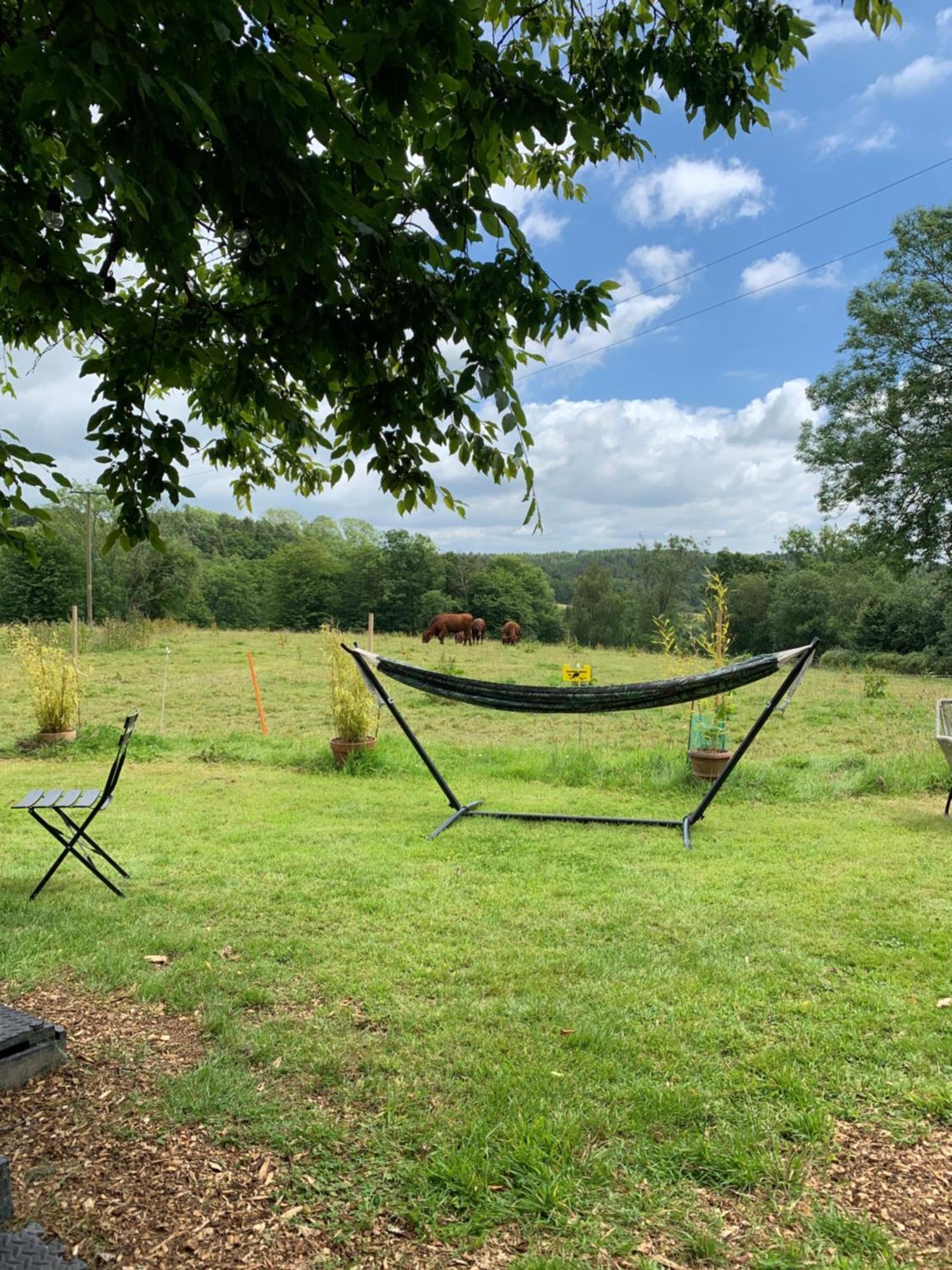 American School Bus Retreat With Hot Tub In Sussex Meadow Uckfield Eksteriør billede