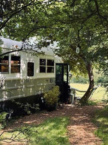 American School Bus Retreat With Hot Tub In Sussex Meadow Uckfield Eksteriør billede